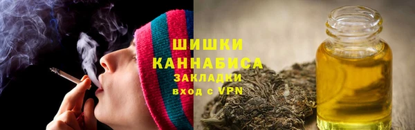 ГАЛЛЮЦИНОГЕННЫЕ ГРИБЫ Няндома