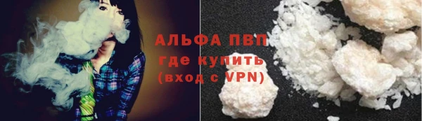 ГАЛЛЮЦИНОГЕННЫЕ ГРИБЫ Няндома