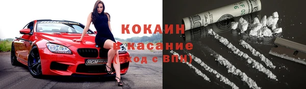 ГАЛЛЮЦИНОГЕННЫЕ ГРИБЫ Няндома