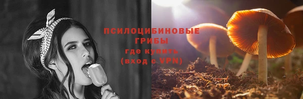 PSILOCYBIN Осинники