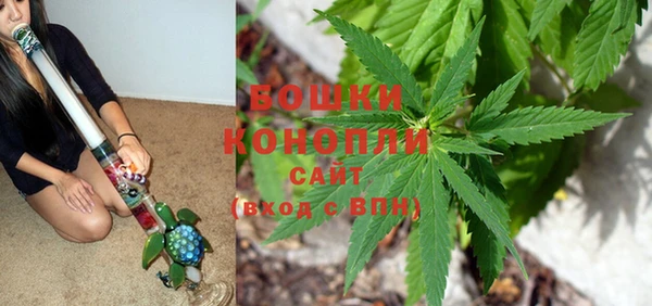 PSILOCYBIN Осинники