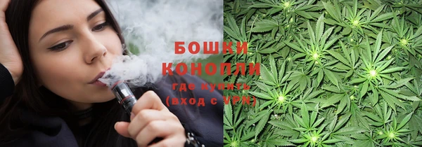 PSILOCYBIN Осинники