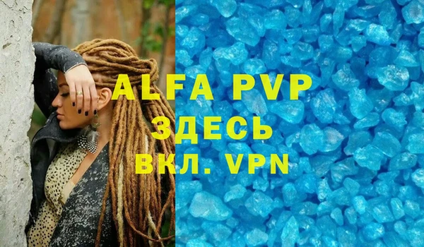 PSILOCYBIN Осинники