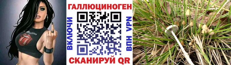 Галлюциногенные грибы Psilocybine cubensis  МЕГА сайт  Курчатов  где продают наркотики 